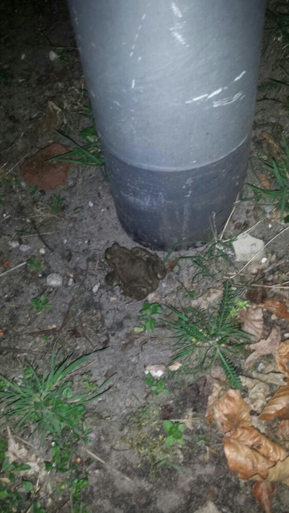 speurtocht whatsapp kinderfeestje