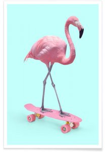 flamingo themakist