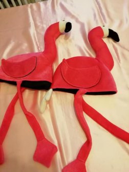 Flamingo kleding