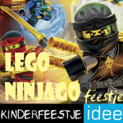 Lego Ninjago kinderfeestje