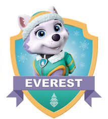 paw patrol everest 