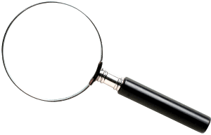 loep detective