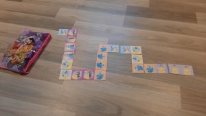 Prinsessendomino kaartjes