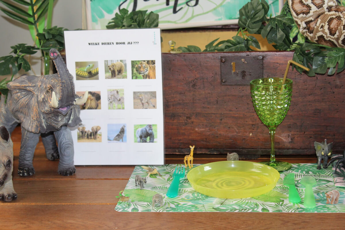 jungle feestje spellen en versiering
