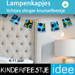 lampenkapjes lichtjes slinger -